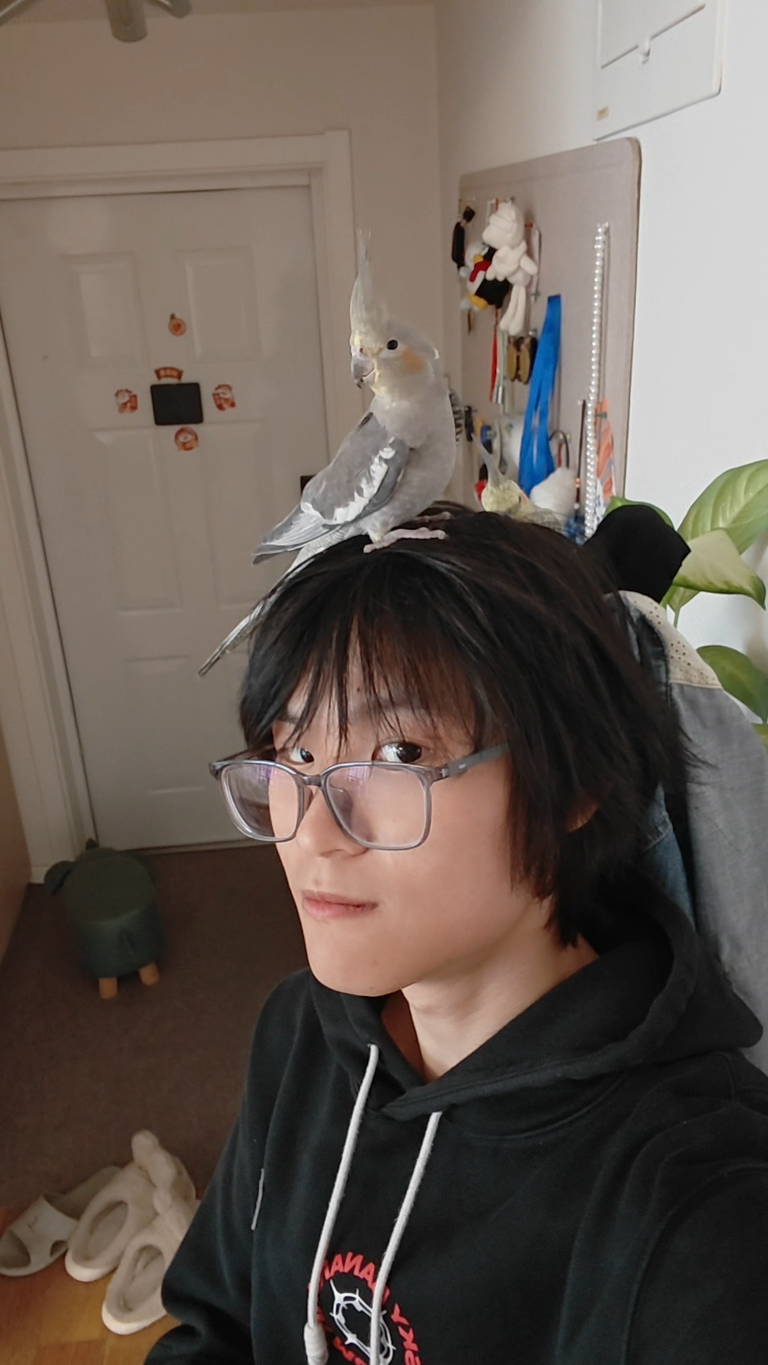 酸黄瓜